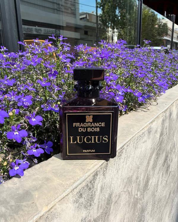 Fragrance Du Bois Lucius
