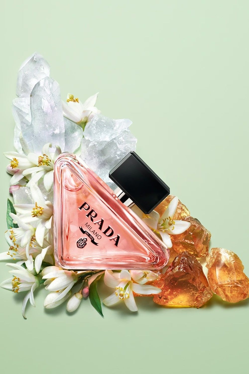 Prada Paradoxe