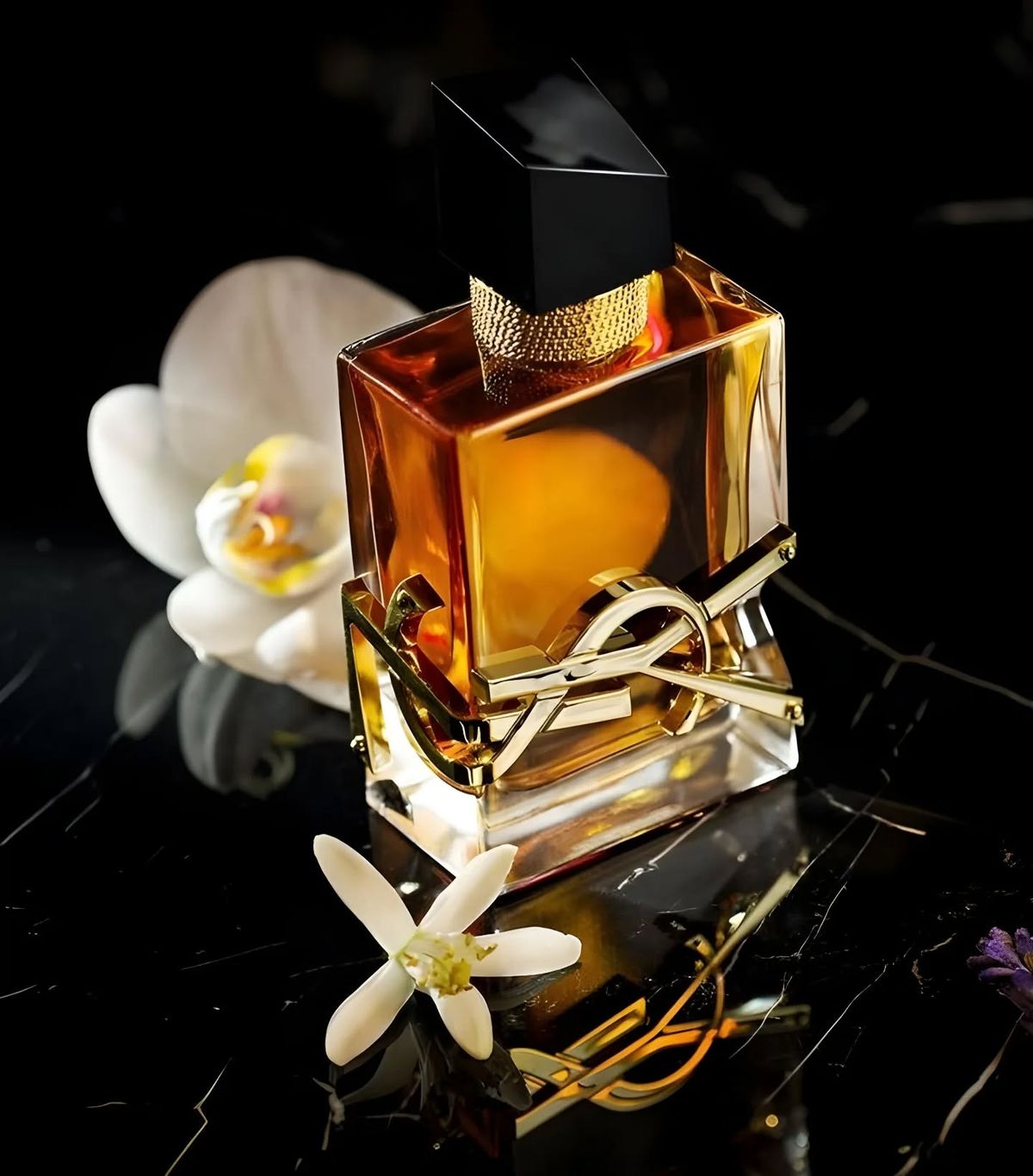 Libre Intense Yves Saint Laurent