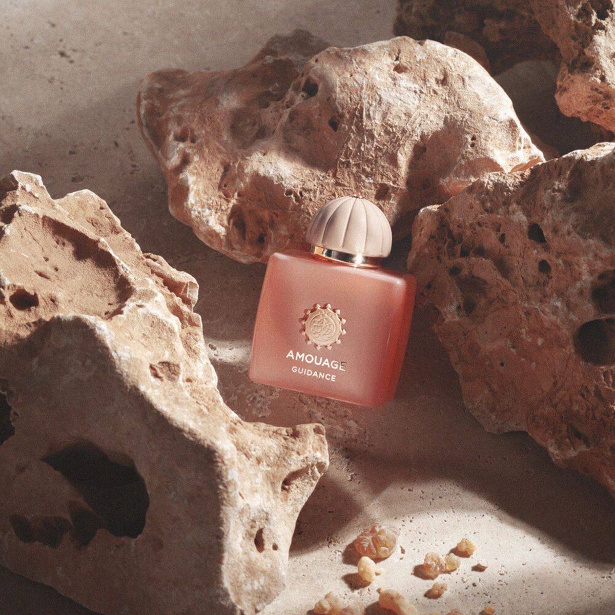 Amouage Guidance