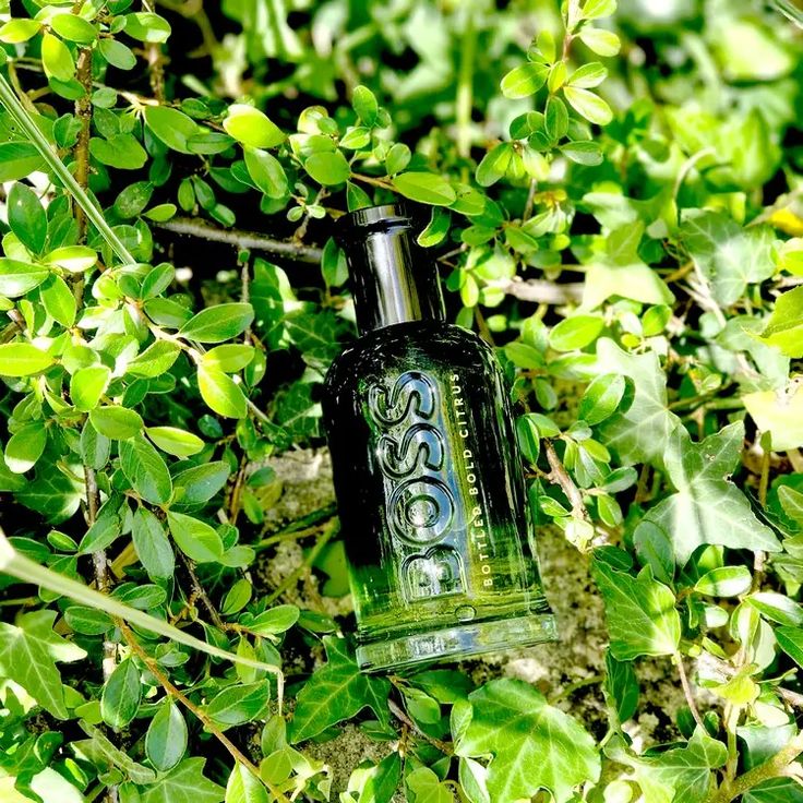 Boss Bottled Bold Citrus Hugo Boss